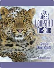 The Great Leopard Rescue: Saving the Amur Leopards