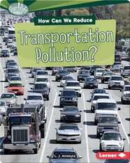 How Can We Reduce Transportation Pollution?
