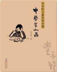 丰子恺儿童文学全集·中学生小品