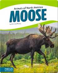 Moose