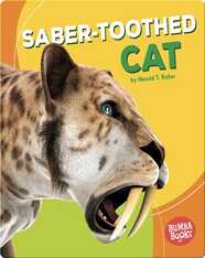 Saber-Toothed Cat