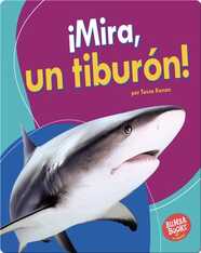 ¡Mira, un tiburón! (Look, a Shark!)