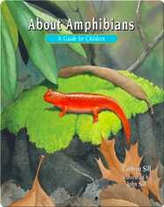 About Amphibians