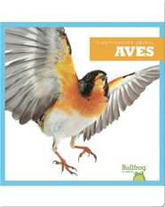 Clasificación Animal: Birds