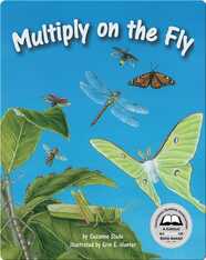 Multiply on the Fly