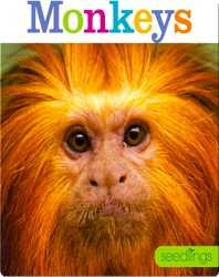 Monkeys book