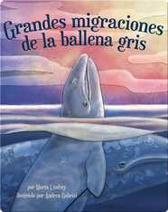 Grandes migraciones de la ballena gris
