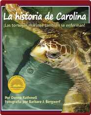 La historia de Carolina: ¡las tortugas marinas tambien se enferman!