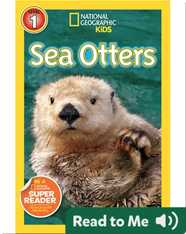 National Geographic Readers: Sea Otters