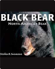 Black Bear: North America's Bear