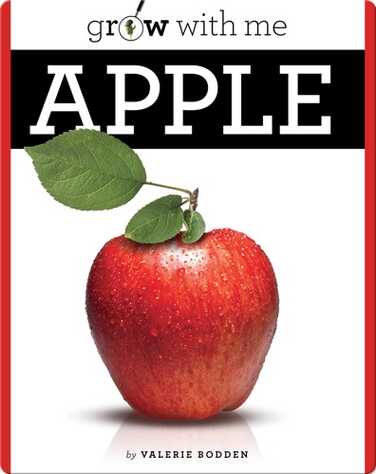 Apple book
