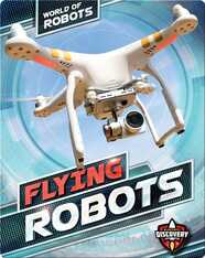 World of Robots: Flying Robots