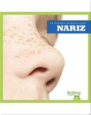 Nariz