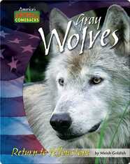 Gray Wolves: Return to Yellowstone