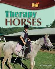Therapy Horses