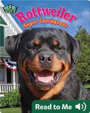 Rottweiler: Super Courageous