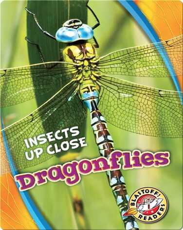 Dragonflies book