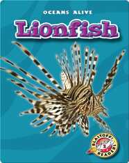 Lionfish