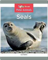 Seals
