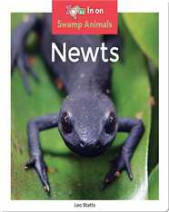 Newts