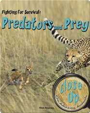 Fighting for Survival: Predators and Prey