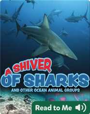 A Shiver of Sharks