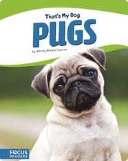 Pugs