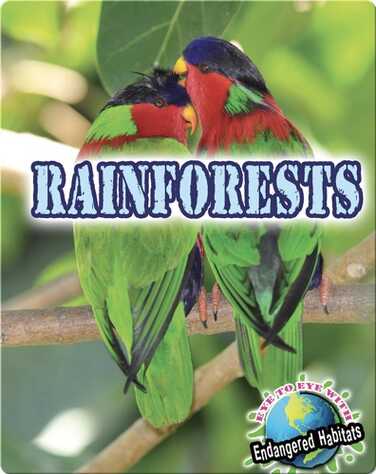 Rainforests book