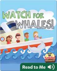 Watch For Whales!