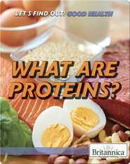 What Are Proteins?