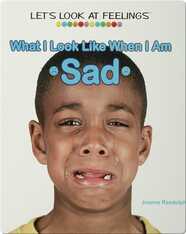What I Look Like When I Am Sad