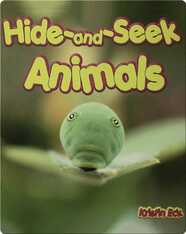 Hide and Seek Animals