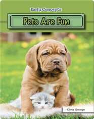 Pets Are Fun