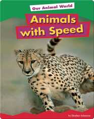 Animals with Speed