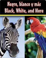 Negro, Blanco Y Mas  (Black, White, and More)