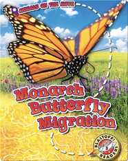 Monarch Butterfly Migration