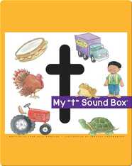 My 't' Sound Box