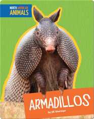 Armadillos