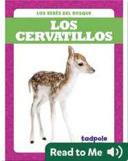 Los cervatillos