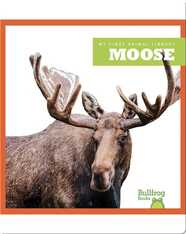 Moose