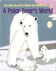 A Polar Bear's World