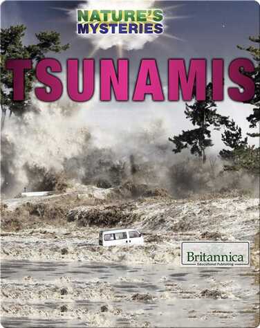 Tsunamis book