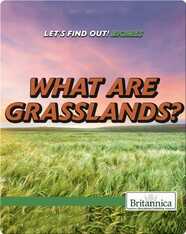 What Are Grasslands?