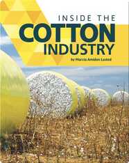 Inside the Cotton Industry