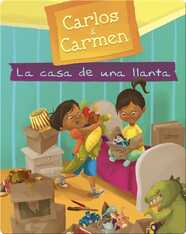 La casa de una llanta