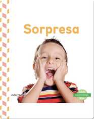 Sorpresa