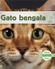 Gato bengala