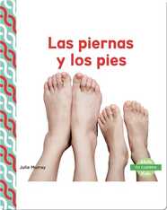 Las piernas y los pies