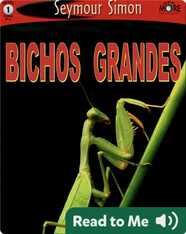 Bichos Grandes