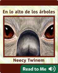 En lo Alto de los Árboles